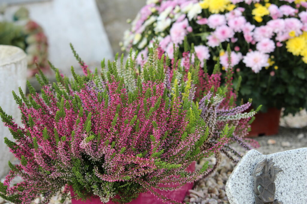 Garantie obsèques